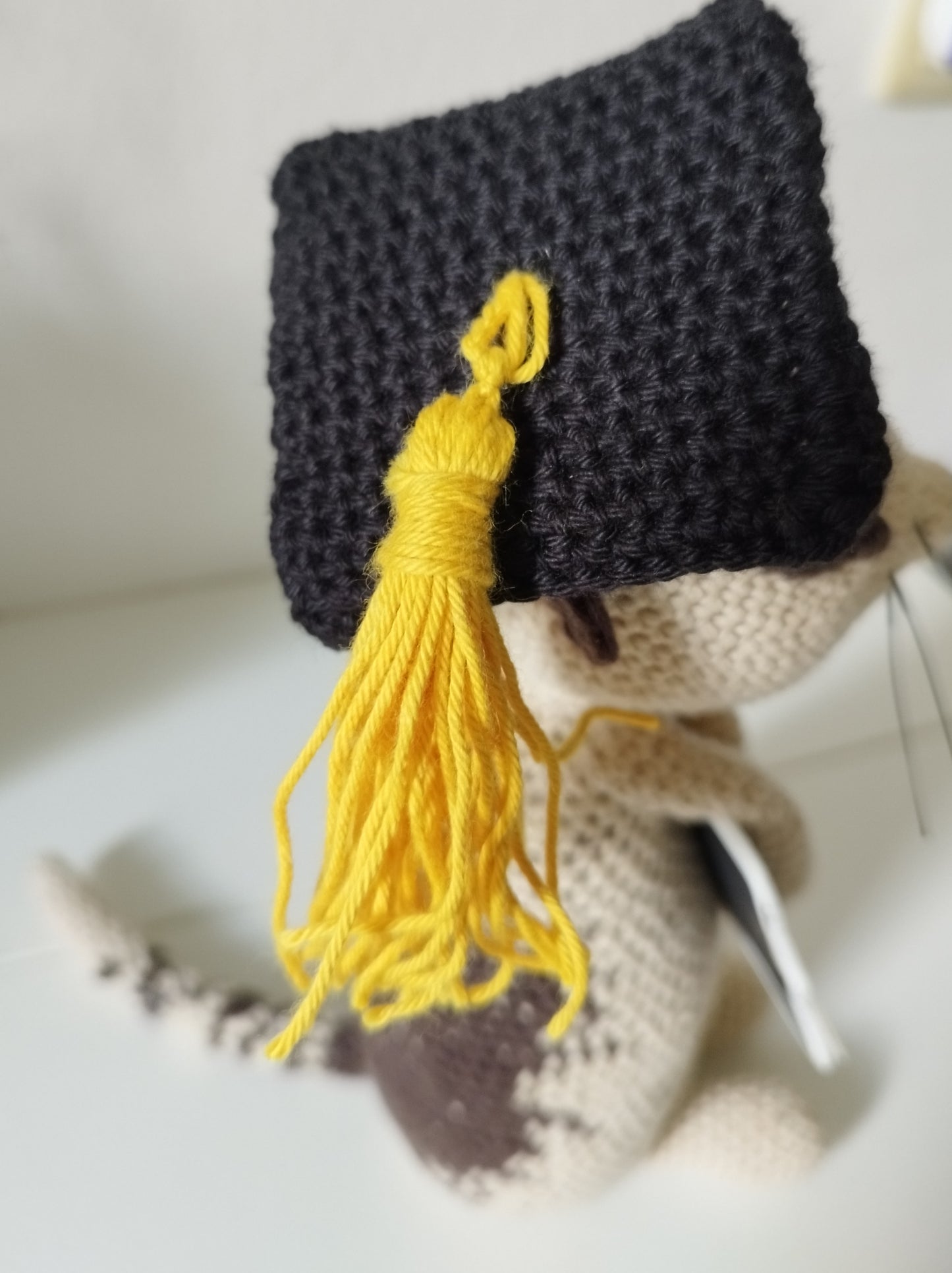 Erdmännchen mit Akademikerhut