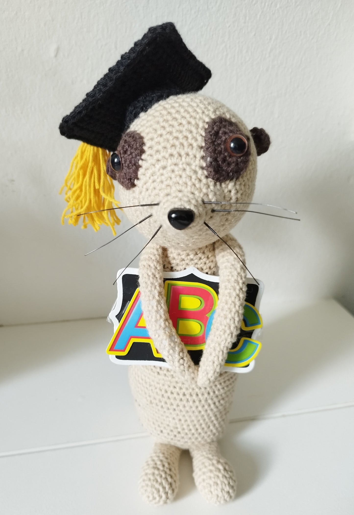 Erdmännchen mit Akademikerhut