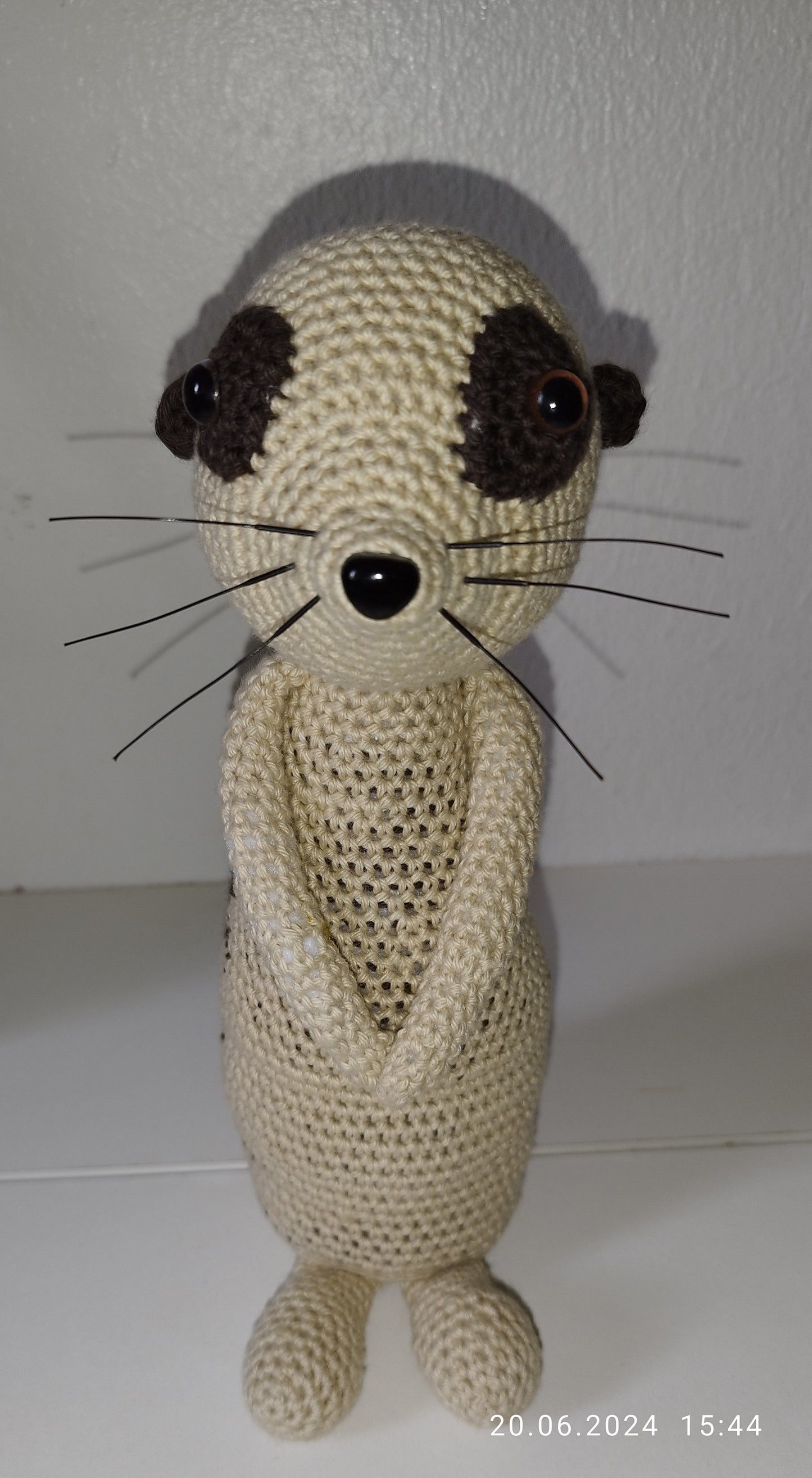 Erdmännchen "Lionel"