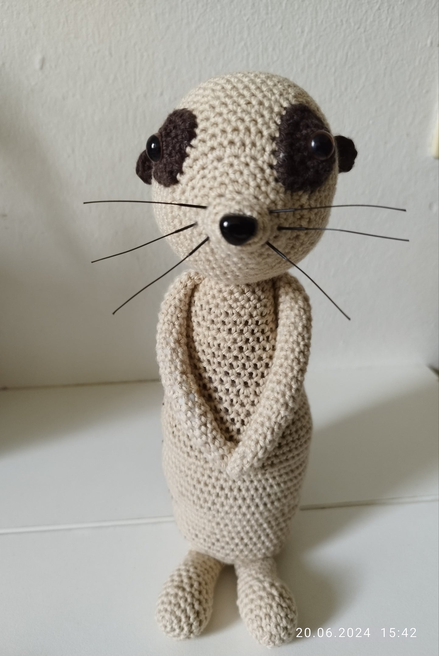 Erdmännchen "Lionel"