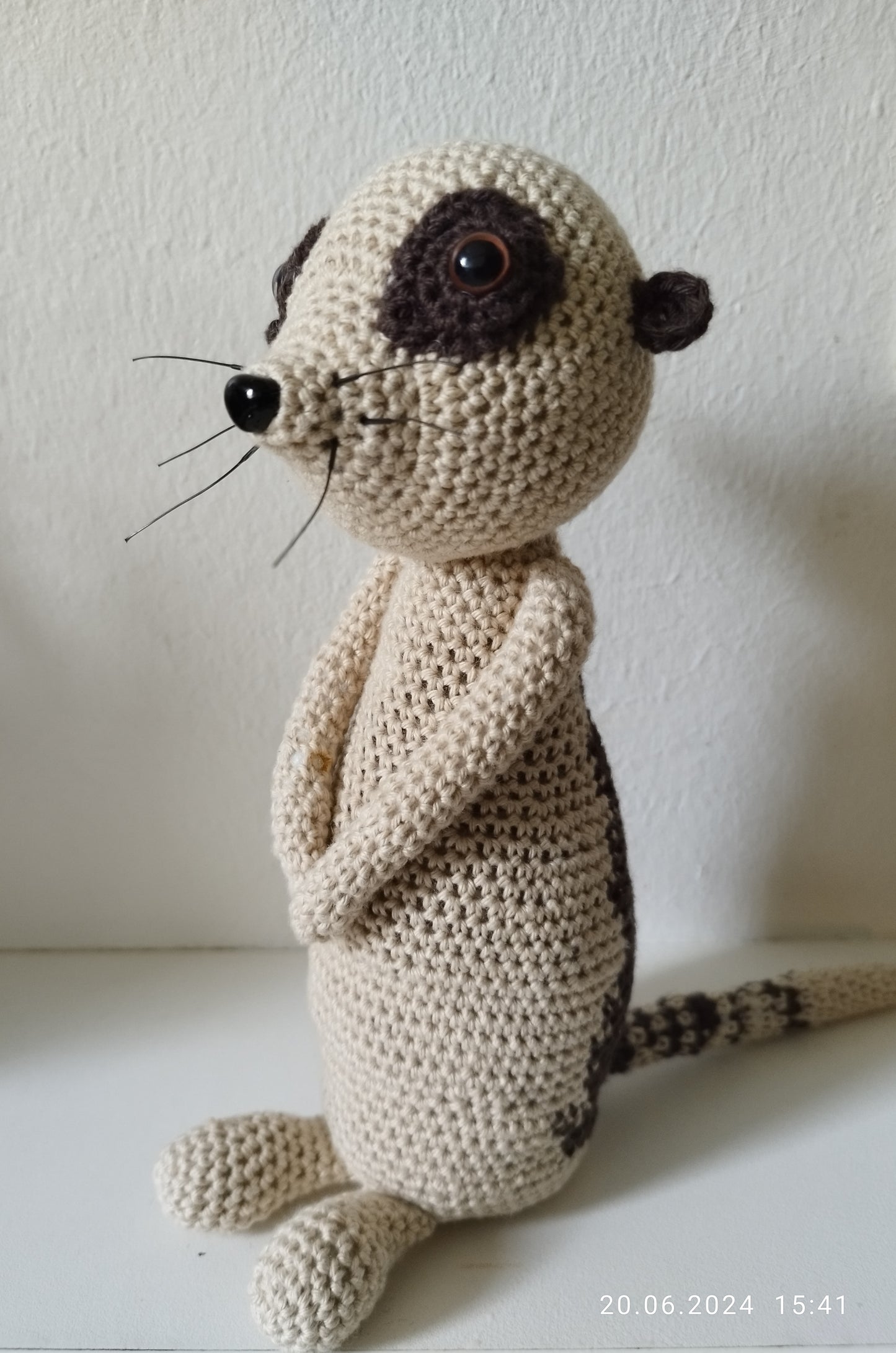 Erdmännchen "Lionel"